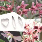 Stainless Steel Cymbidium 3pcs Set Cutters Cookie Fondant SugarCraft