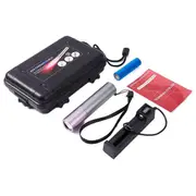 Red Light Therapy Flashlight 630nm 660nm 850nm Handheld Joint and Muscle Pain Relief Red Light Therapy Torch
