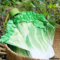 在飛比找蝦皮購物優惠-雨傘🧢 傘女學生韓版可愛紅白菜雨傘折疊防曬遮陽傘男士雨傘男傘