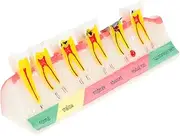 JECOMPRIS Aid Educational Tooth Model for Classes Portable Decay Demonstration Tool for Patient Explanations and Restoration Treatment Guidance