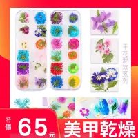 在飛比找蝦皮購物優惠-{{Nail美甲批發}小菊花&小梅花&紫陽花&滿天星雪珠花乾