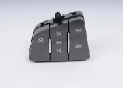 Genuine GM Dark Argent Metallic Cruise Control Switch 15851236