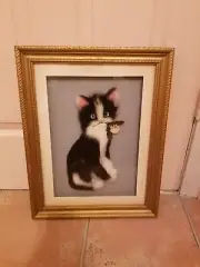 One Of A Kind Kitten Furry Picture In Frame