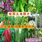 🍓【免運大熱銷】多款豆角種子大全 毛豆 四棱豆 豌豆 荷蘭豆 長豇豆 花豹豆 無架四季豆 八月瓜 刀豆 四季播種豆角