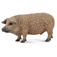 在飛比找蝦皮商城優惠-COLLECTA動物模型 - 匈牙利豬 < JOYBUS >