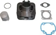 Standard Barrel For Piaggio Typhoon 50 1995 (50 CC)