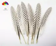 pretty Premium 10-100PCS natural Pheasant Tail Feathers 20-25cm/8-10inch