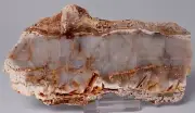 MICROBIAL MAT, Dresser Fmt, Stromatolite, North Pole Dome 95g, S733