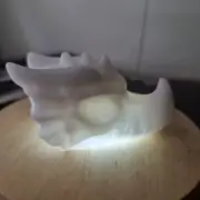White Jade Dragon Skull 80g
