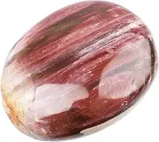 June&Ann Natural Petrified Wood Palm Stones, Healing Gemstone Therapy Worry Crystal Stones for Meditation Chakra Balancing Collection, Irregular Shape