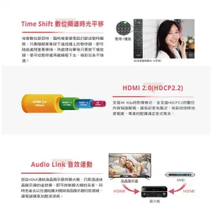 【CHIMEI 奇美】55吋4K連網液晶電視TL-55M600 現貨保固三年另有奇美最新款安卓聯網語音聲控連網液晶電視