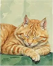 TAOPAOLAB Cat Paint by Numbers Kit for Adults - DIY Sleeping Orange Tabby Painting on Canvas 16x20In, Acrylic Paint Set, Suitable for Beginners, Animal Art for Home Decoration or Gifts