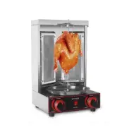 LPG Gyros Rotisserie Grill BBQ Kebab Shawarma Grill Machine Chicken Spit Roaster