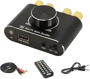 100W+100W BT 5.1 Wirel o Power Amplifier Portable Sound Amplifier Speaker Amp for Car and Home