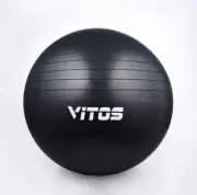 NEW Vitos Exercise Ball Tool w/ pump - Stability Balance, 55cm