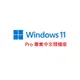 Windows 11 PRO 64 Bit 中文隨機版 Win11 Pro 作業系統 64位元 WIN11