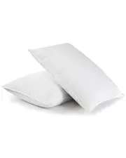 Peace Nest Set of 2 Quilted Feather & Poly Blend Pillows