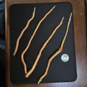 Wooden wands made from tree root and quartz crystal, four each.