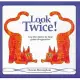 Look Twice: Mirror Reflections, Logical Thinking