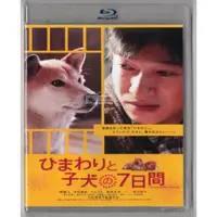 在飛比找蝦皮購物優惠-BD藍光碟 向日葵與幼犬的7天 緯來電影臺國語+日語配音 堺