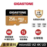 在飛比找蝦皮商城優惠-【GIGASTONE】資料救援記憶卡A2 U3 256G/1