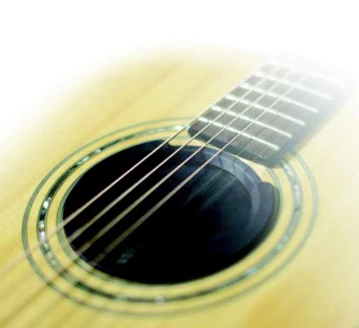 Alice A048 - Acoustic Guitar Feedback Eliminator / 3 1/2" Soundhole Block
