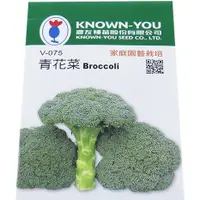 在飛比找蝦皮購物優惠-{綠花緣} 青花菜、綠色花椰菜、青花椰菜 Broccoli種