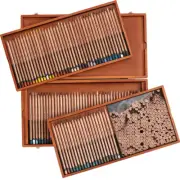 NEW 100 Derwent Lightfast Coloured Pencils Professional Artists Wooden Box Set