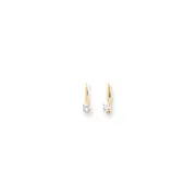 14k Yellow Gold Cubic Zirconia Leverback Earrings