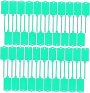 STOBOK 100pcs Blank Waterproof Plastic Tags Marker Ties Large Labeling Tags Green Plastic Tags Hanging Label Tags for Labeling Shipping