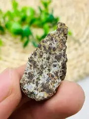 Natural NWA chondrite meteorite slice classified find Sahara Desert 5g