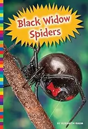 Black Widow Spiders (Poisonous Animals)