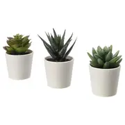 FEJKA artificial potted plant with pot, in/outdoor Succulent, 6 cm3 pack