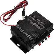 Gatuida Portable Stereo Amplifier Car Mini Amplifier for Speakers Home Audio Power Amp
