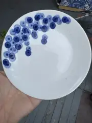 New Rika Salad App Plate Crate & Barrel blue white blueberry 6” $22 retail