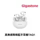 【序號MOM100 現折100】Gigastone TAQ1 True Wireless真無線降噪藍牙耳機TAQ1(ANC主動降噪/ENC/通透模式/藍牙5.3/無線充電)【APP下單9%點數回饋】