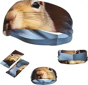FJWSLCH Squirrel Funny Animal Headbands for Women Men Non Slip Workout Sweatbands Adjustable Sports Hair Bands Elastic Head Bands Moisture Wicking Hairband for Running, Cycling, Yoga, Spa