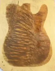 Figure Telecaster Guitar Top Flame Curly Golden Phoebe Wood Set Luthier Supply