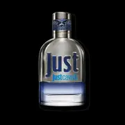 Roberto Cavalli Just Cavalli Him EDT