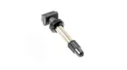DT Swiss Tubeless Valve Stem w/ MTB Wide Base 32mm Removable Core