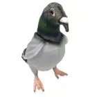 Hansa Pigeon soft plush toy 8"/21cm Pigeon Soft Toy