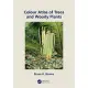 Colour Atlas of Woody Plants and Trees