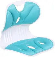 Posture Corrector for Chair, Breathable Highly Resilient Ergonomic Back Support Chair for Posture Correction and Pain Relief, Back Support
