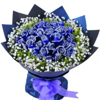 在飛比找Yahoo!奇摩拍賣優惠-【A51-藍色愛情海】33朵玫瑰花束 朵麗絲 板橋花店  新