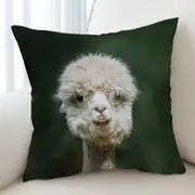 Funny Photo of Llama Cushion Cover