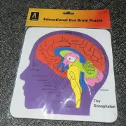 Foam Educational Evaluation Anatomy Brain Puzzle 8-1/2" Square New