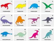 12 Pieces Dinosaurs Stencils Plastic Animals Drawing Template Reusable Hollow