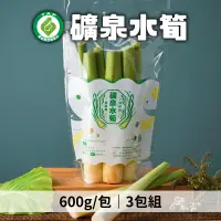 在飛比找台灣好農優惠-珠勢大集農產 產銷履歷礦泉水筍 600g*3包