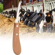 QITERSTAR Hoof Trimming, Sharper High Strength Carbon Steel Hoof Knife for Sheep's Hoof for Trim Horse Hoof for Horseshoe(Straight right hand, 12)