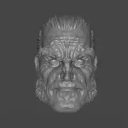 Old Man Logan Wolverine X-Men Marvel Comics custom head for action figures